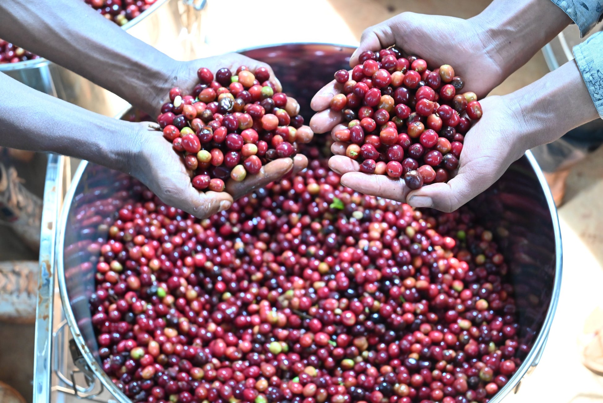 Ethiopia Funky Wush Wush