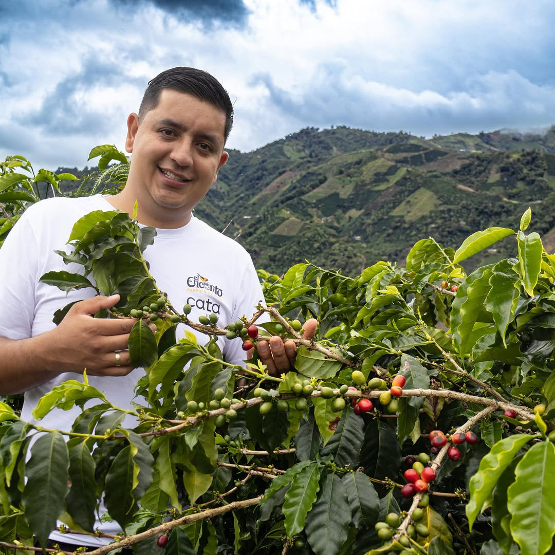 Colombia Franky Hoyos Adv Natural – PERC COFFEE