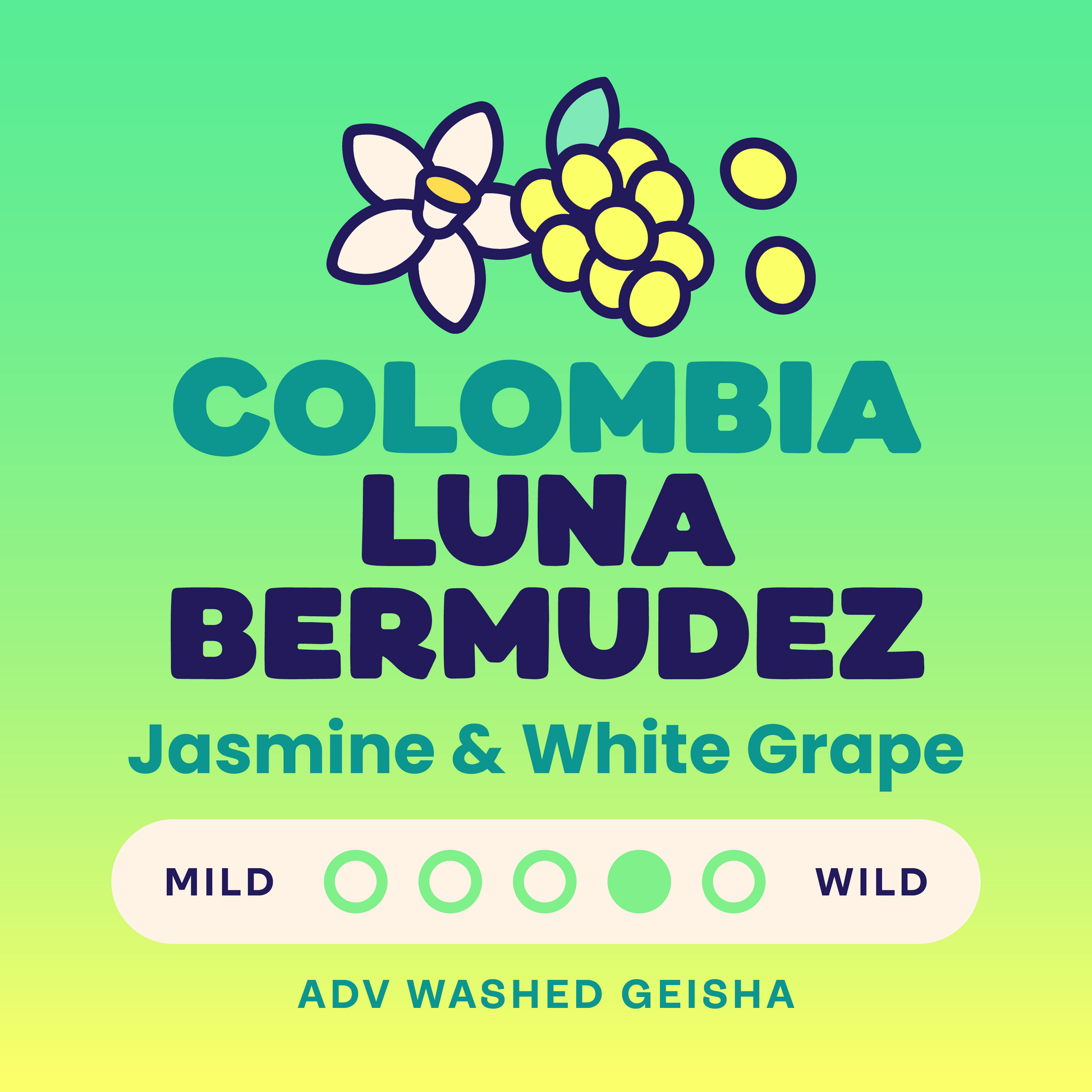 Colombia Luna Bermudez