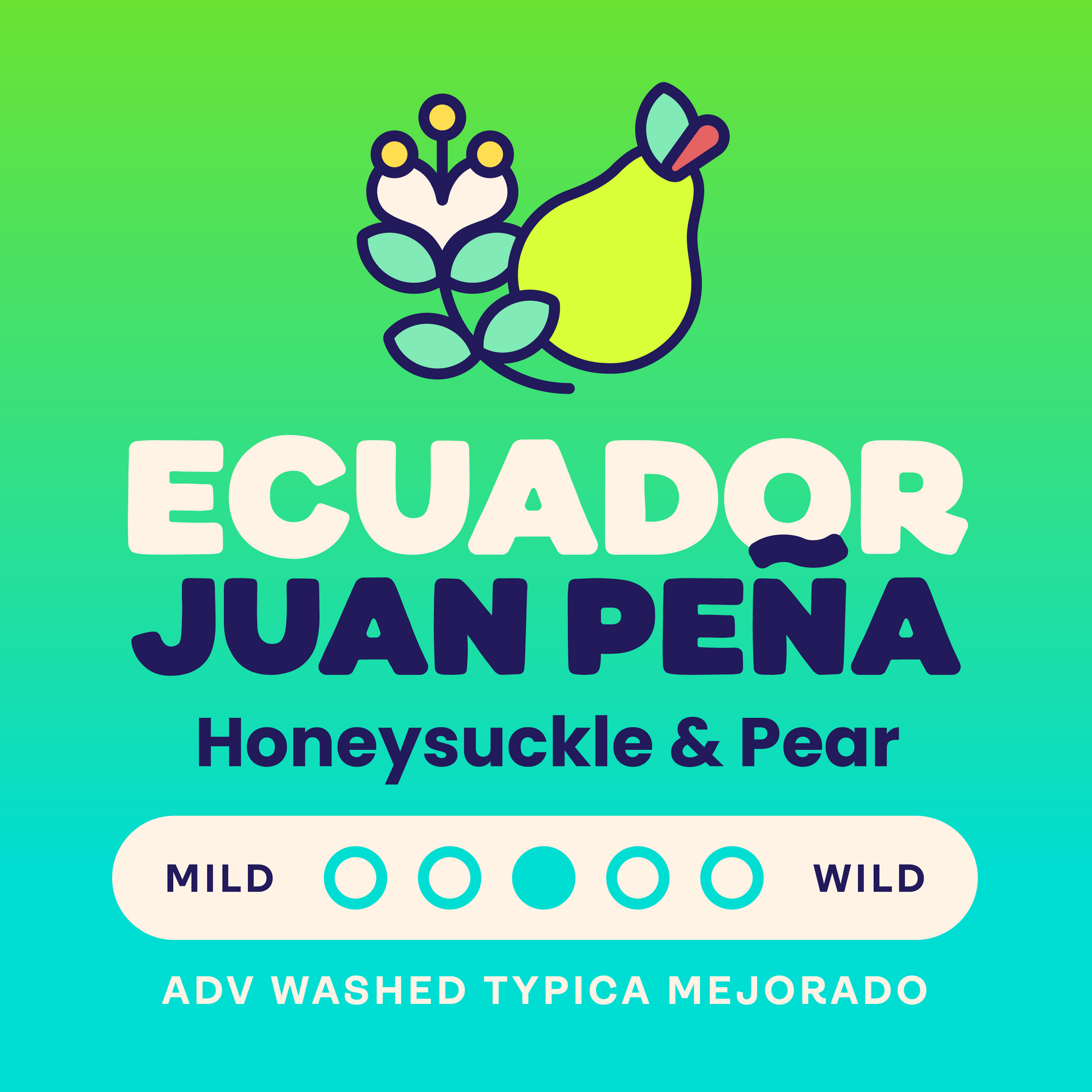 Ecuador Juan Pena Adv Washed