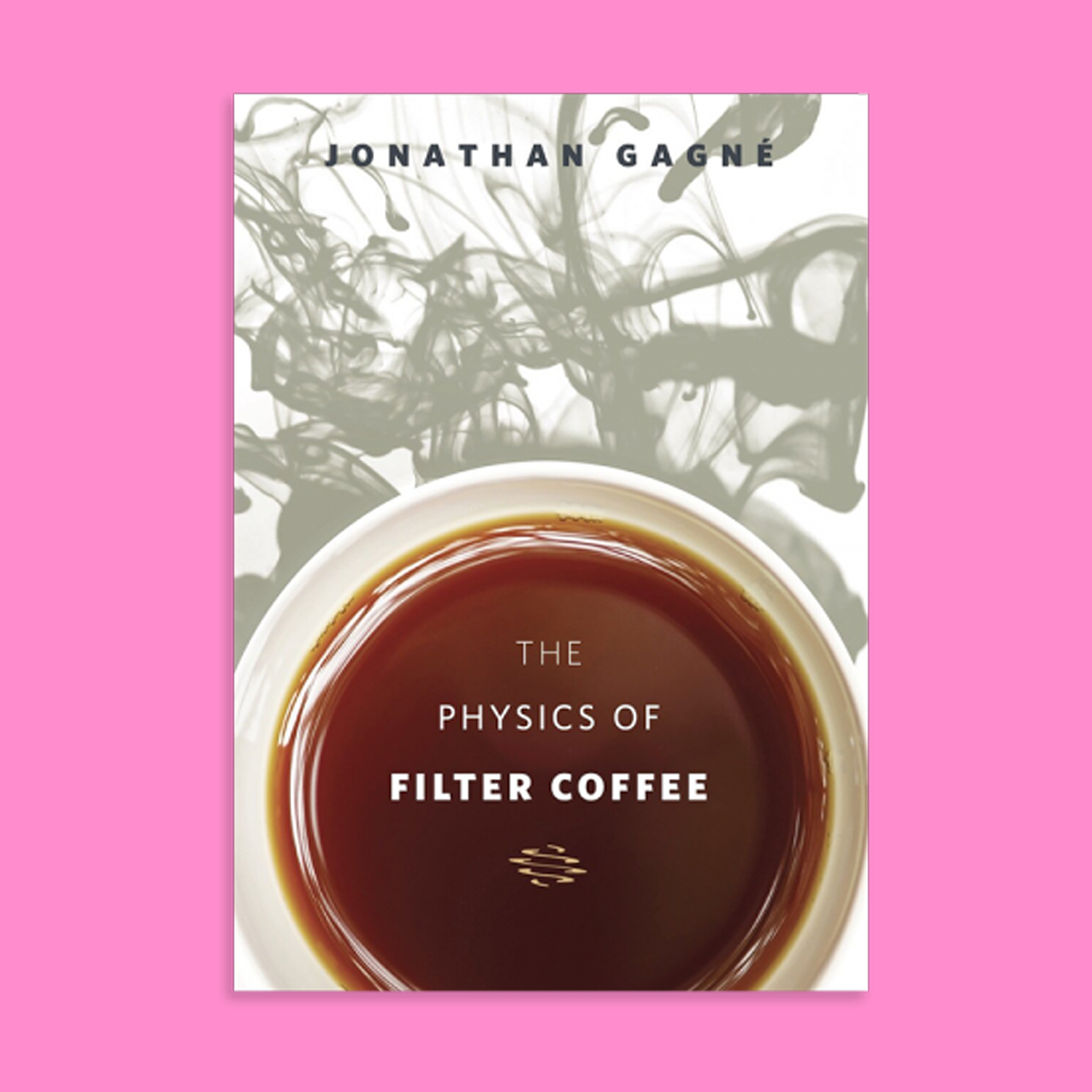 The Physics of Filter Coffee