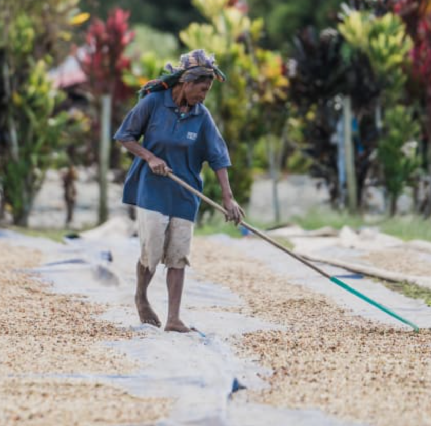Papua New Guinea Kindeng Mill