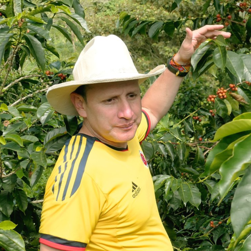 Archive: Colombia Linarco Rodriguez Pink Bourbon